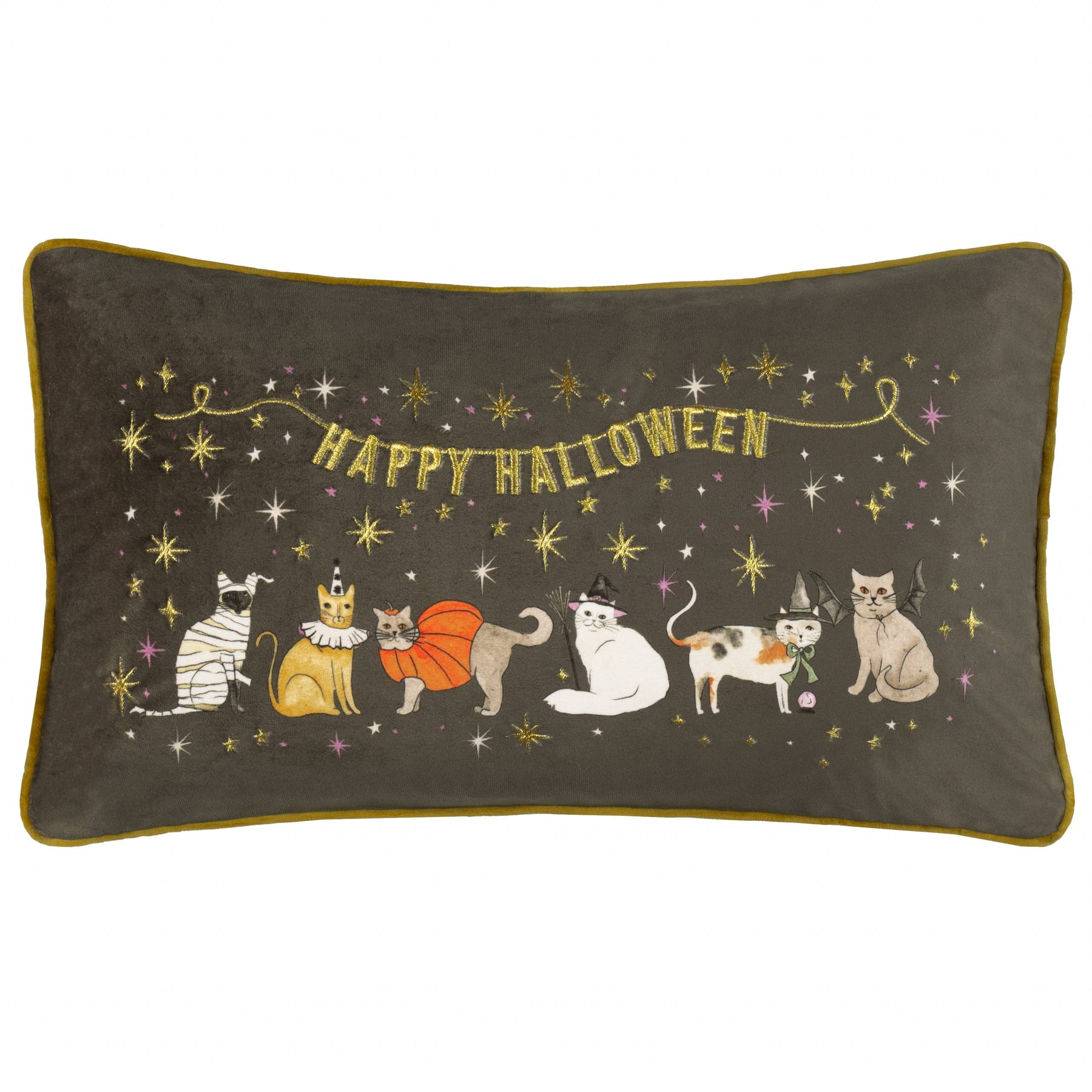 'Halloween Pawty' Embroidered Velvet Cushion