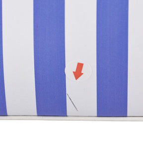 Mother of Pearl Blue White Striped Bag