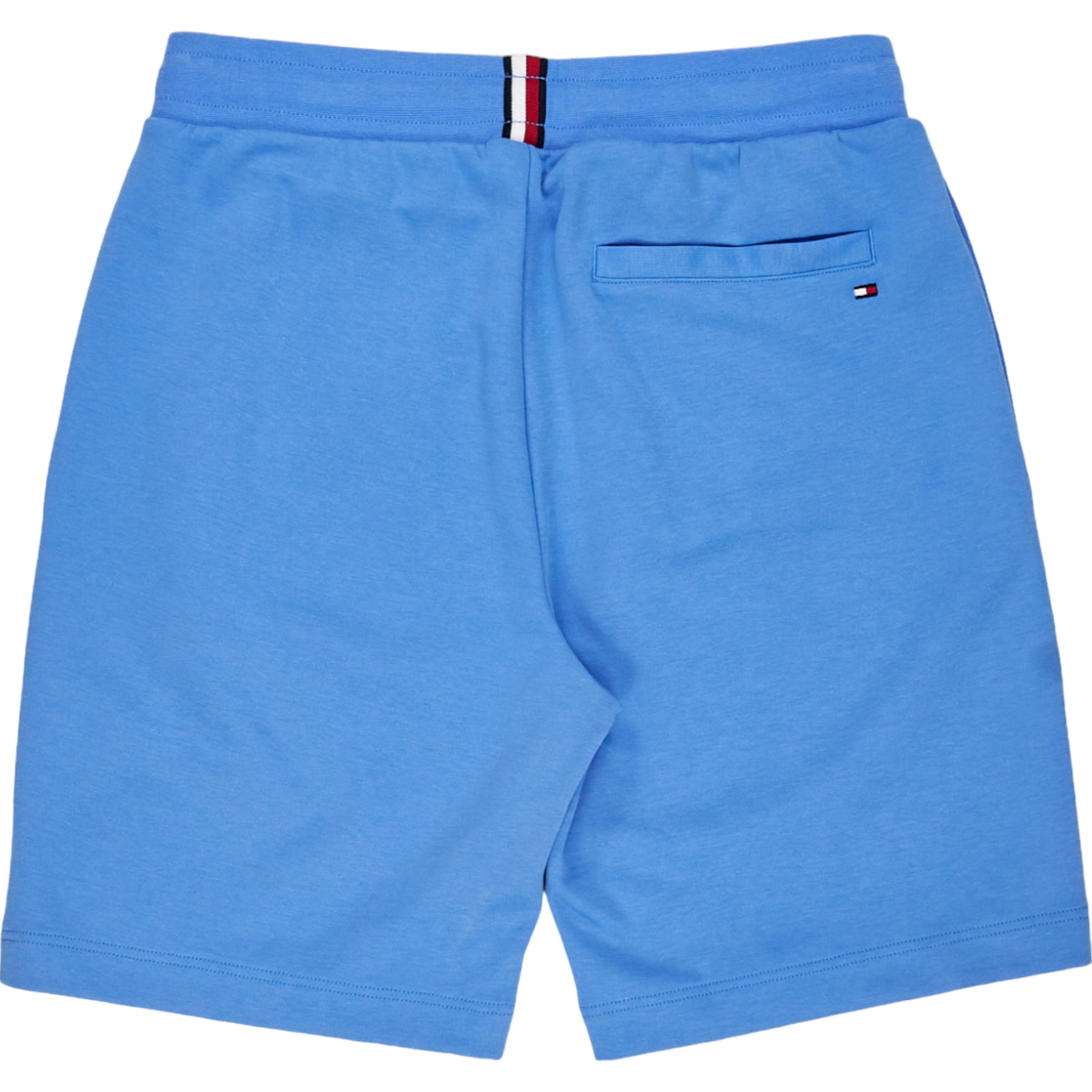 Tommy Hilfiger Blue Sweatshorts