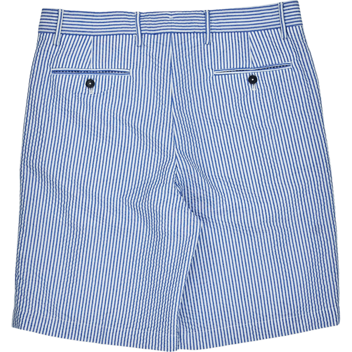 Tommy Hilfiger Blue Striped Shorts