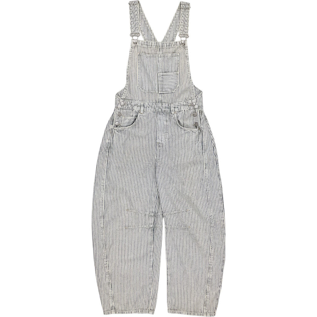 Free People Blue Striped Overalls