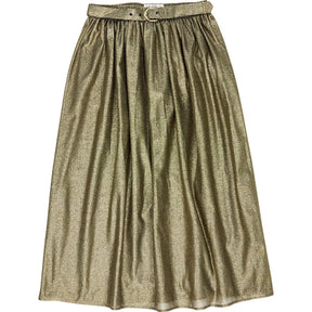 Link Gold Metallic Midi Skirt