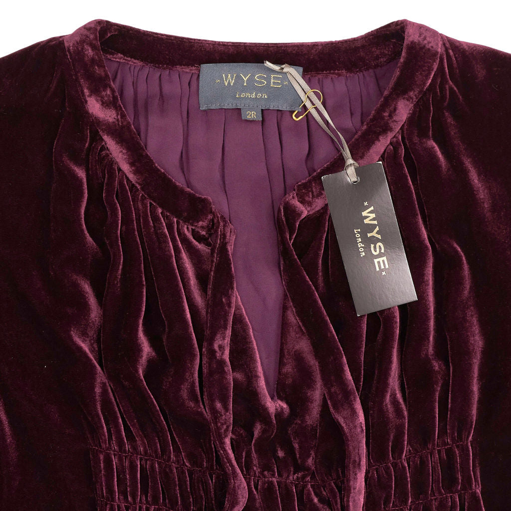 Wyse Plum Velvet Bree Silk Blend Dress