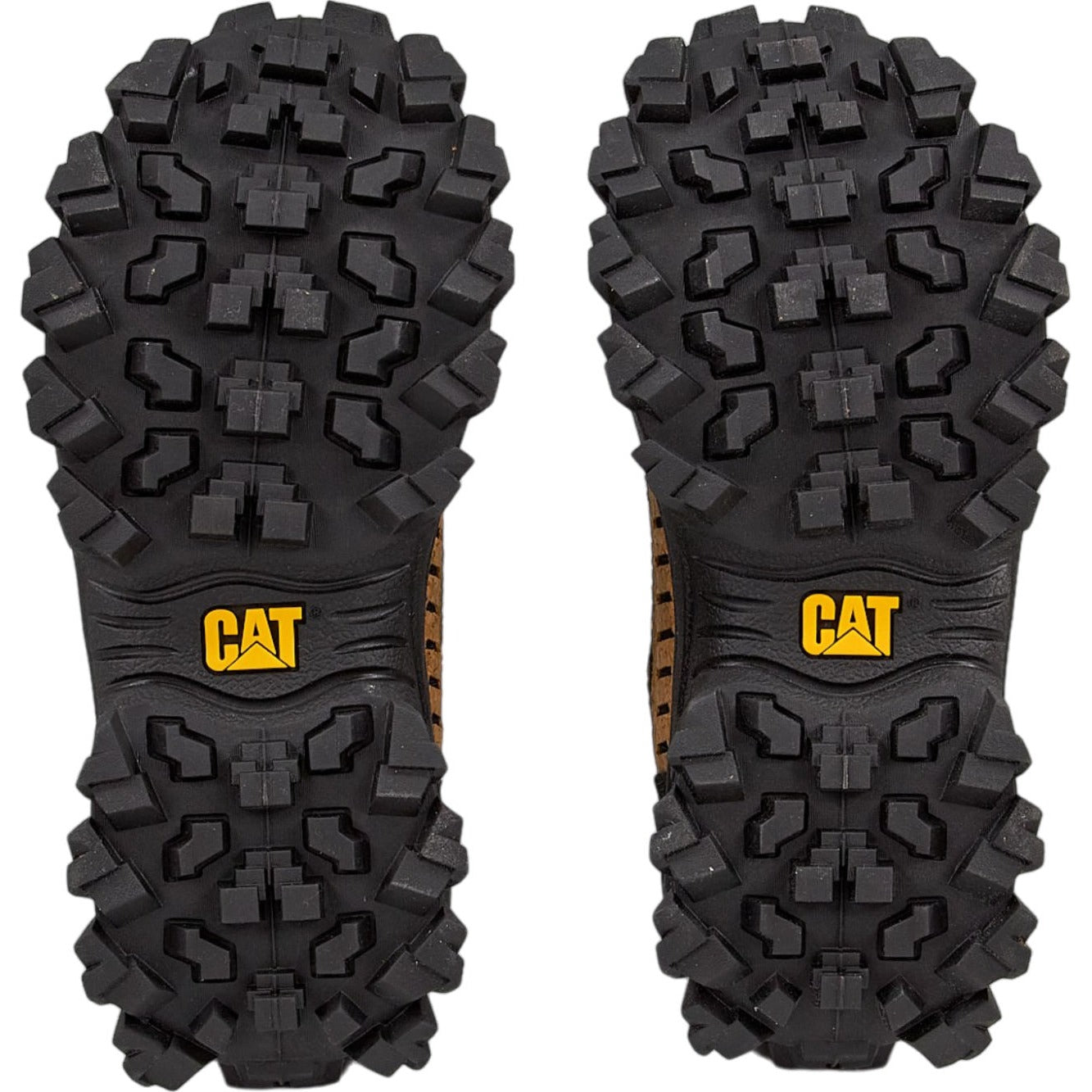 CAT Cork Black Eco Intruder Sneakers