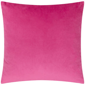 Aspen Velvet Cushion Cover