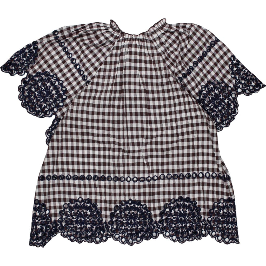 Bonte Brown Gingham Embroidered Top