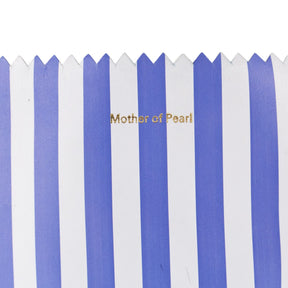 Mother of Pearl Blue White Striped Bag