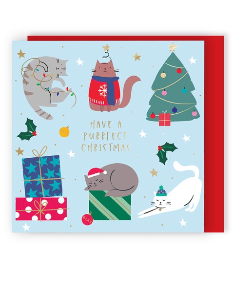 Christmas Cats - pack of 8