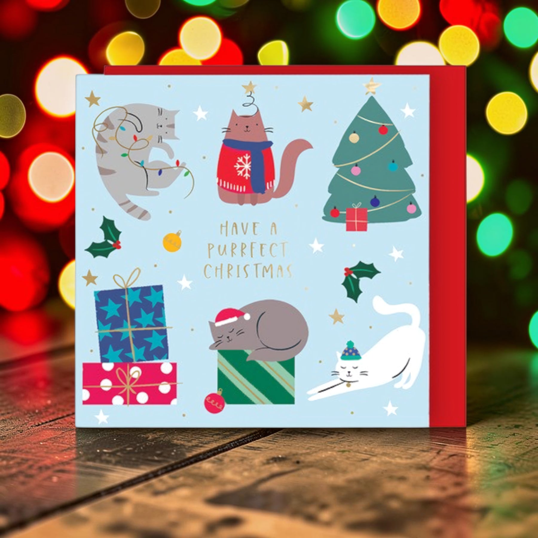 Christmas Cats - pack of 8